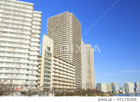越中島（冬） 50179269