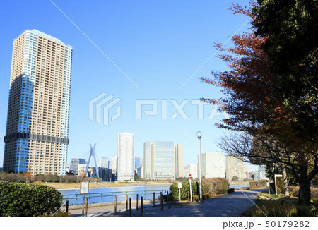 越中島（冬） 50179282