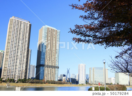 越中島（冬） 50179284