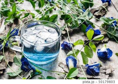 Fresh butterfly pea flower juice with ice in glass Fresh butterfly pea flower juice with ice in glass 50179803