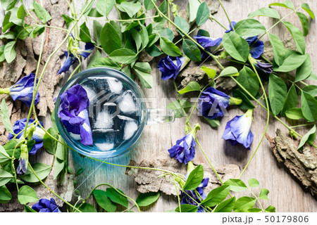 Fresh butterfly pea flower juice with ice in glass Fresh butterfly pea flower juice with ice in glass 50179806