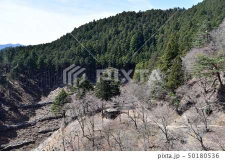 吉野山 奥千本 吉野山 奥千本 50180536