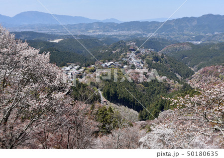 春の吉野山 50180635