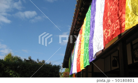 寺院　祝賀帯 50180801