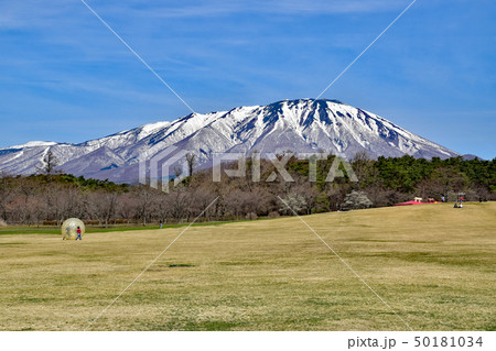 小岩井農場 50181034