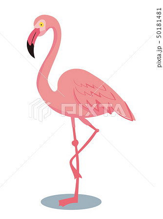 片足立ちしてるフラミンゴのイラスト｜野鳥 動物｜Flamingo 