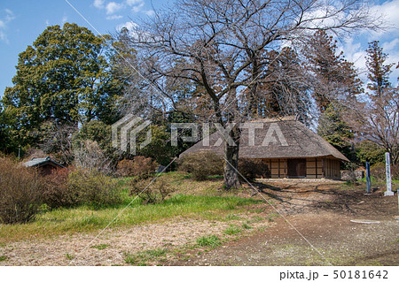 阿久沢家住宅 前橋市 阿久沢家住宅 前橋市 50181642