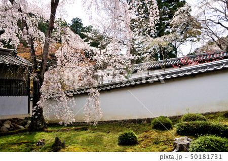 天野山金剛寺　奥殿庭園 50181731