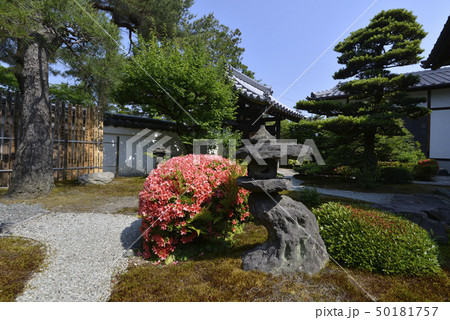 知恩寺 庭園 知恩寺 庭園 50181757