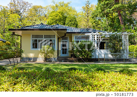 田園調布の家 大川邸 50181773