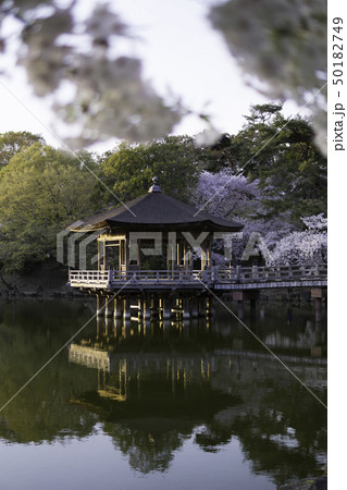 【奈良県】　奈良公園　浅茅ヶ原　浮見堂 50182749