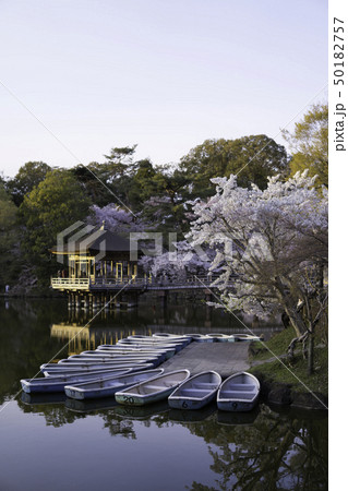 【奈良県】 奈良公園 浅茅ヶ原 浮見堂 【奈良県】 奈良公園 浅茅ヶ原 浮見堂 50182757