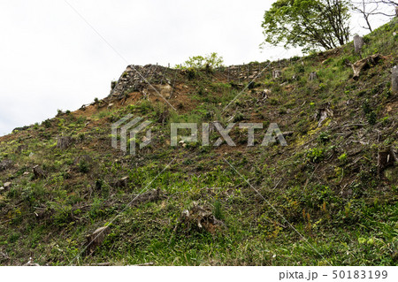 山城 月山富田城 春 千畳敷 山城 月山富田城 春 千畳敷 50183199