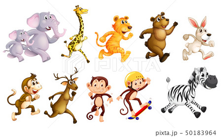 Set of wild animals running 50183964