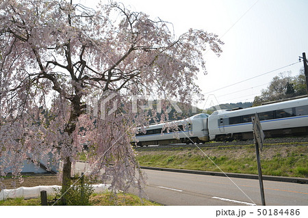 サンダーバード 50184486