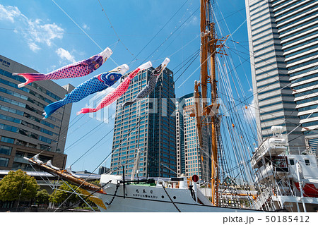 横浜みなとみらい日本丸と鯉のぼり 50185412