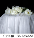 黒背景で白い布の上の白いトルコ桔梗 50185828