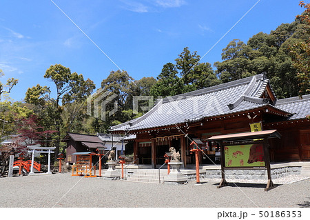 和歌山県・かつらぎ町の宝来山神社・風景 和歌山県・かつらぎ町の宝来山神社・風景 50186353