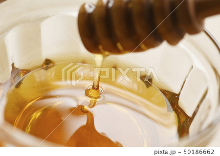 ハチミツ 蜂蜜 はちみつ ハニー ハニー ディッパー 健康 食品 食べ物 フード 甘い ナチュラル ハチミツ 蜂蜜 はちみつ ハニー ハニー ディッパー 健康 食品 食べ物 フード 甘い ナチュラル 50186662