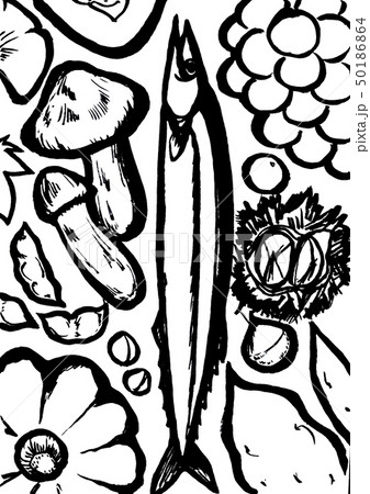 秋の味覚　イラスト 50186864