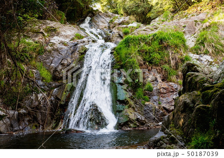 不動の滝 (香川県高松市塩江町) 不動の滝 (香川県高松市塩江町) 50187039