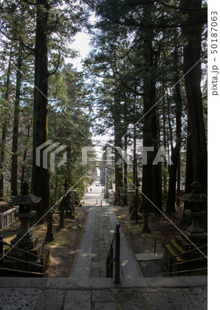 三夜沢赤城神社　境内　前橋市 50187063