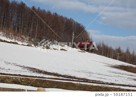 残雪の丘_富良野 残雪の丘_富良野 50187151