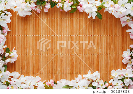 Frame of spring flowers of sakura on bamboo Frame of spring flowers of sakura on bamboo 50187338