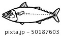 鯖　イラスト 50187603