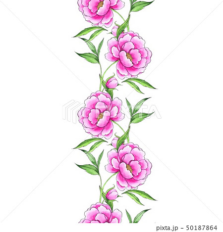 Floral seamless frame border with peony 50187864