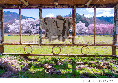 研修センターとして活用されている京都府綾部市旧奥上林小学校を撮影したも 50187991