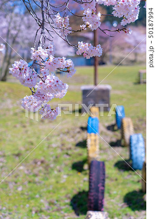 研修センターとして活用されている京都府綾部市旧奥上林小学校を撮影したも 50187994