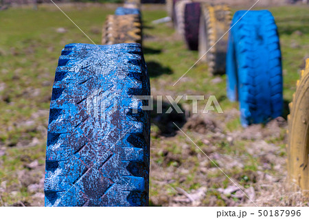 研修センターとして活用されている京都府綾部市旧奥上林小学校を撮影したも 50187996