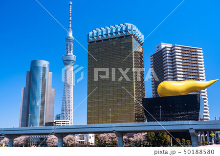 《東京都》浅草から眺める・スカイツリーの都市風景 《東京都》浅草から眺める・スカイツリーの都市風景 50188580
