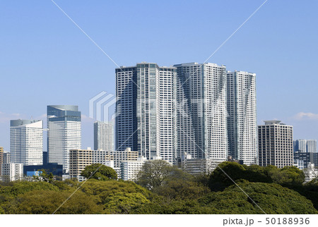 日本の東京都市景観 タワーマンション群などを望む 日本の東京都市景観 タワーマンション群などを望む 50188936