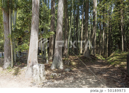 熊野古道　熊野中辺路　熊野三山　参詣道　三軒茶屋跡　イメージ素材　熊野観光 50189973
