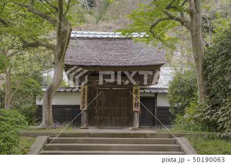 円覚寺塔頭 済蔭庵(鎌倉市山ノ内) 円覚寺塔頭 済蔭庵(鎌倉市山ノ内) 50190063