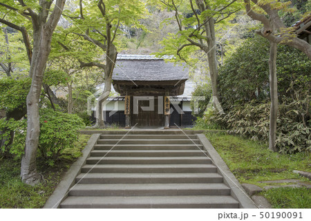 円覚寺塔頭 済蔭庵(鎌倉市山ノ内) 円覚寺塔頭 済蔭庵(鎌倉市山ノ内) 50190091