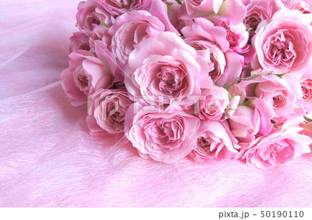 ピンクのバラの花束 ピンクのバラの花束 50190110