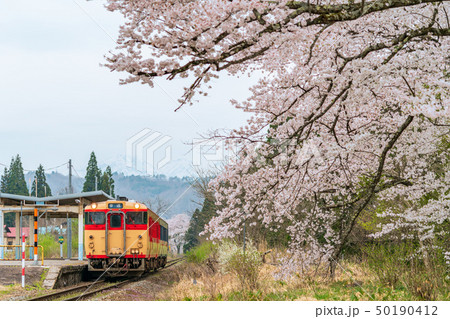磐越西線の列車と桜 上野尻駅 磐越西線の列車と桜 上野尻駅 50190412