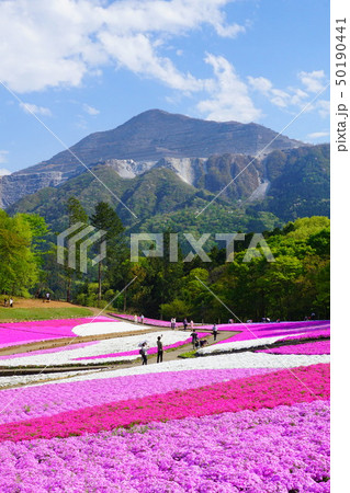 武甲山と芝桜5 50190441