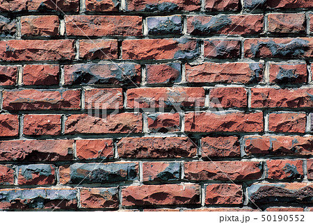 レンガの壁 50190552