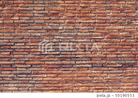 レンガの壁 50190553