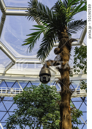 植物園 室内 カメラ 50190589