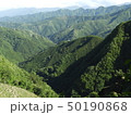 深緑の渓谷 深緑の渓谷 50190868