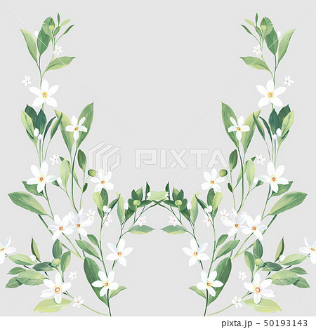 透明水彩 水彩画 花 50193143