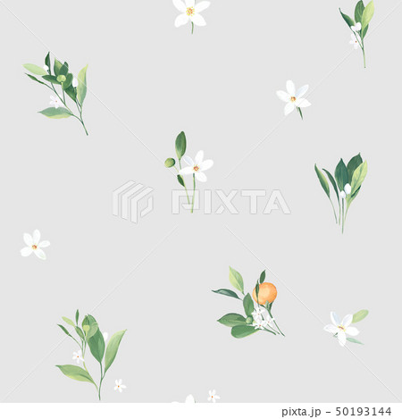 透明水彩 水彩画 花 50193144