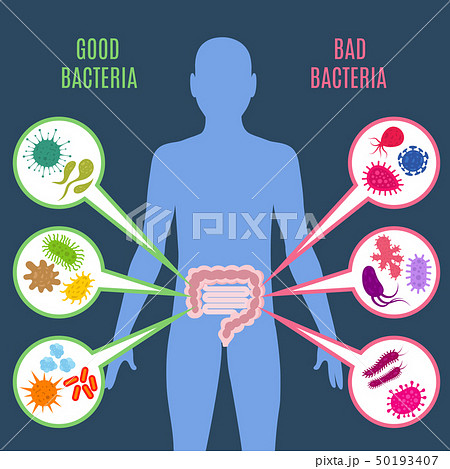 Intestinal flora gut health vector concept with bacteria and probiotics icons 50193407