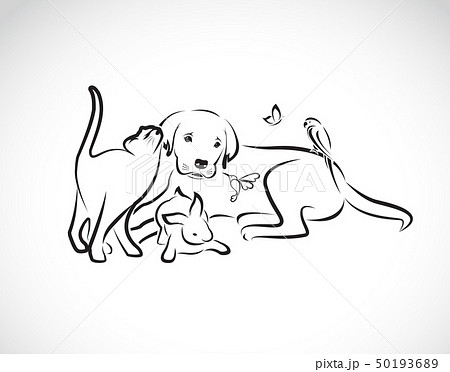 Vector group of pets - Dog, cat, parrot, rabbit, 50193689