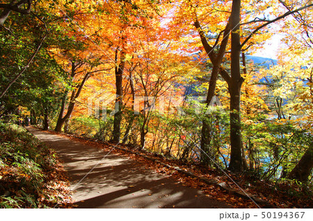 イタリア大使館別荘記念公園（栃木県・日光市） 50194367